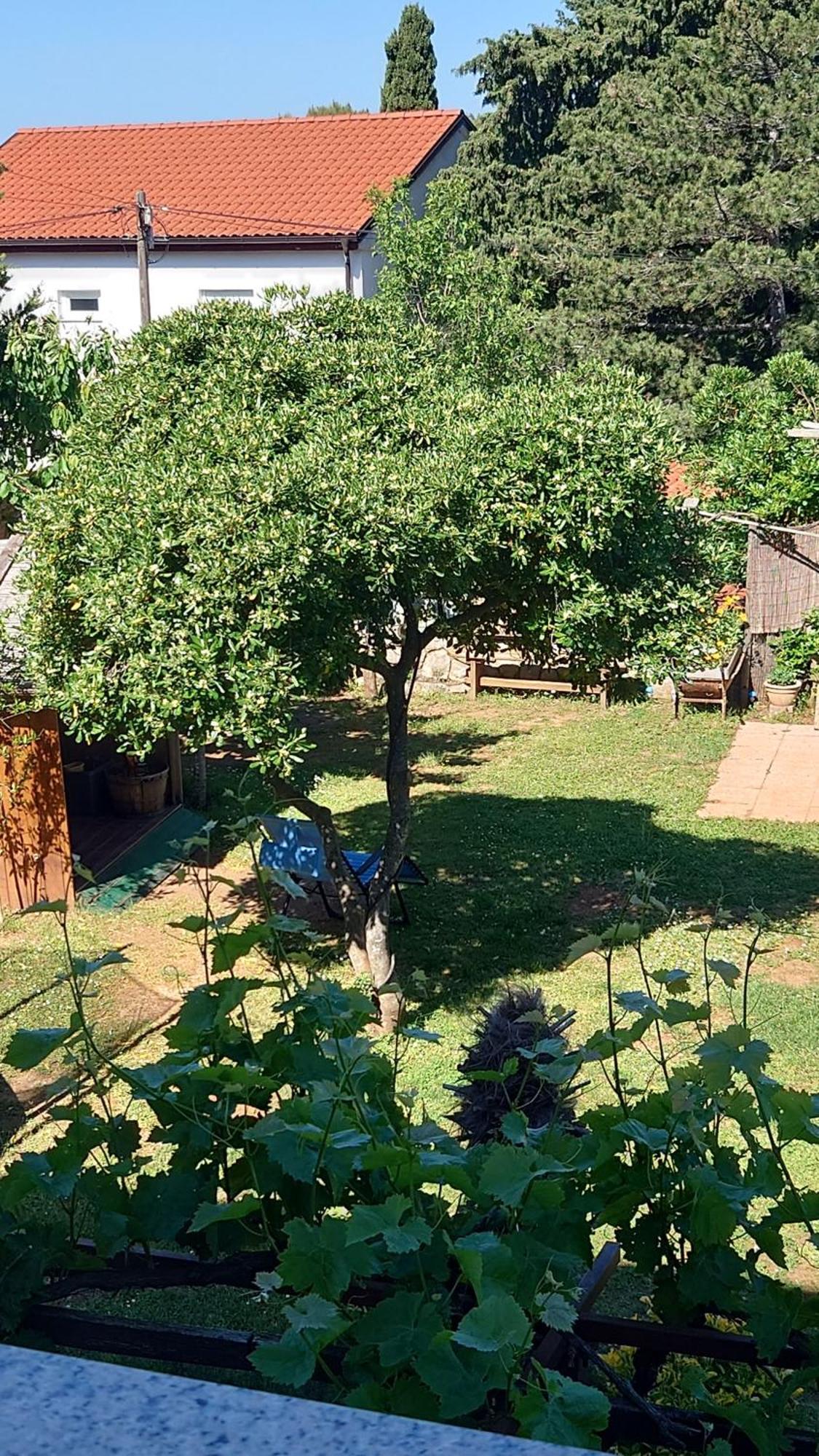 Da Dorian Apartment Punat